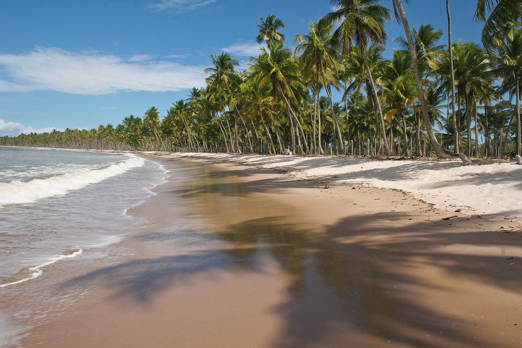 Coqueiros e faixa de areia em Boipeba, Bahia.